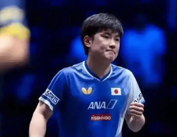 法国队力克葡萄牙队，张本智和状态火热的简单介绍