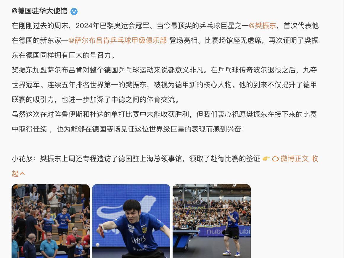 日本队完胜德国队，樊振东点燃赛场