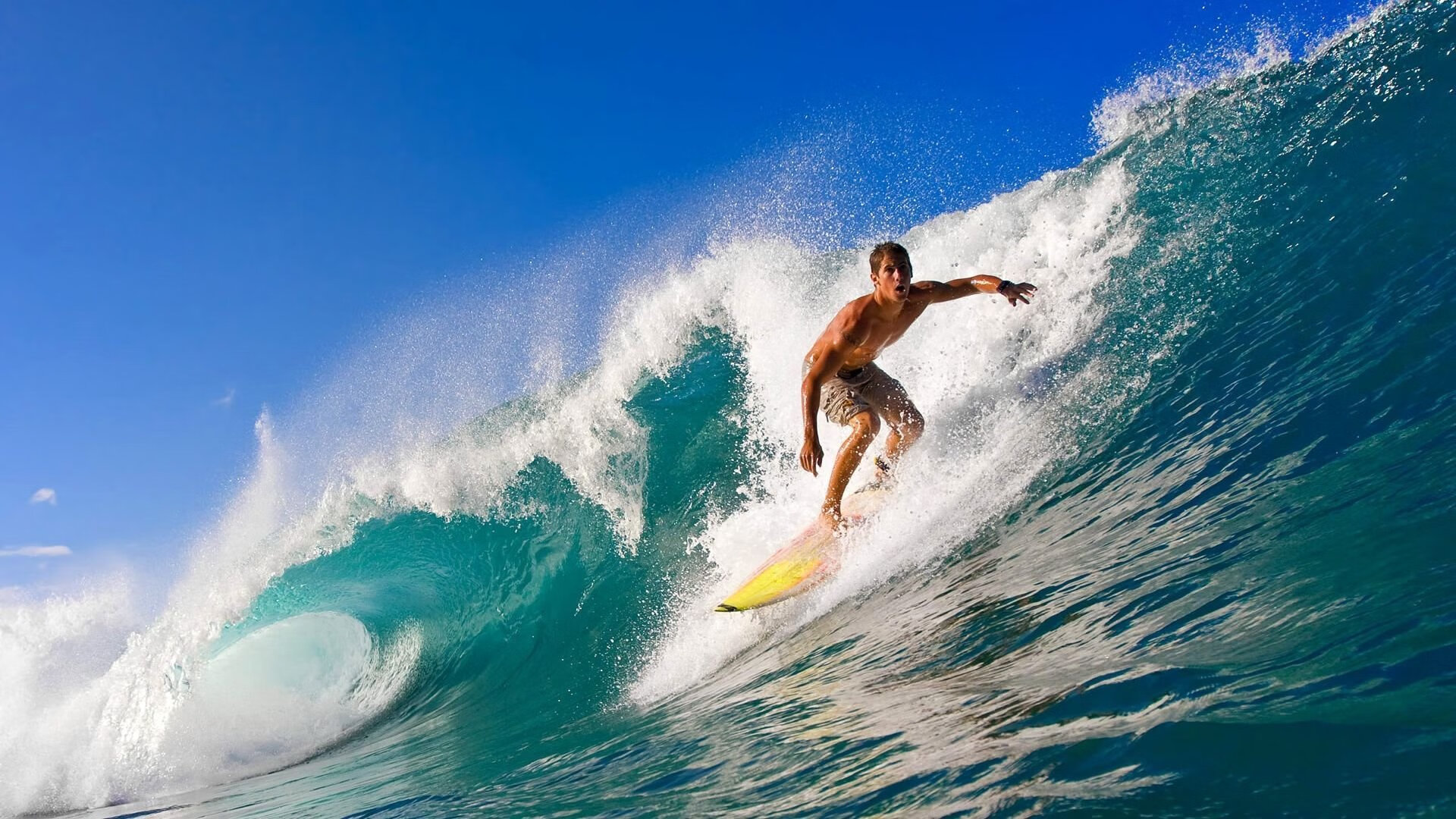 绿茵场与篮球馆的决胜交响,德甲争冠焦点战与掘金决胜广东的战术启示